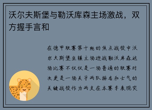 沃尔夫斯堡与勒沃库森主场激战，双方握手言和