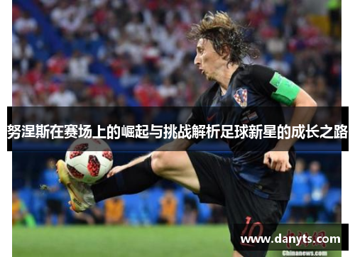 努涅斯在赛场上的崛起与挑战解析足球新星的成长之路