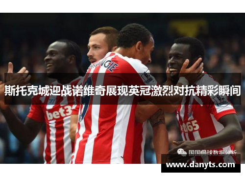 斯托克城迎战诺维奇展现英冠激烈对抗精彩瞬间