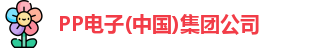 PP电子